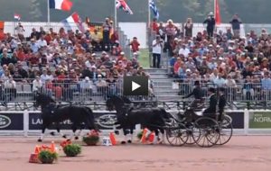 2014 Alltech FEI World Equestrian Games in Normandy News