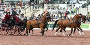 American Chester Weber leads the way after first phase of WEG driving