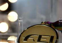 FEI gold medal