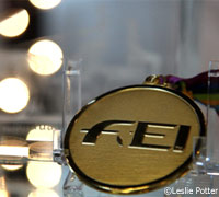 FEI gold medal