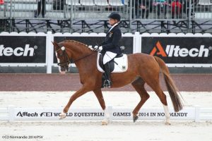 Para-Equestrian Dressage Team Competition Under Way in Normandy