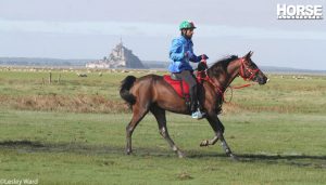 Photoset: Endurance at the 2014 Alltech FEI World Equestrian Games in Normandy