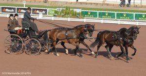 Combined Driving begins at the 2014 Alltech FEI World Equestrian Games
