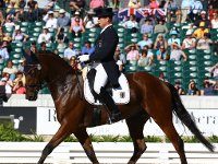 weg jung dressage