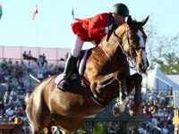 horse rider at jumping event
