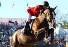 horse rider at jumping event