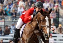 horse rider at jumping event