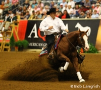 reining, fun, fast and challenging