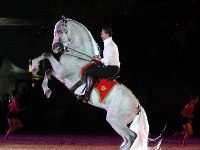 weg opening andalusian