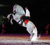 weg opening andalusian