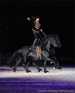 Behind the Scenes at the Alltech FEI World Equestrian Games