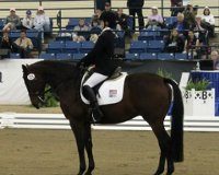 United States Para-Equestrian Dressage National Championship is underway in New York black horse with rider