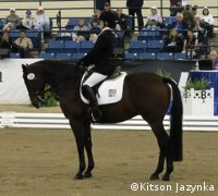 black horse with rider