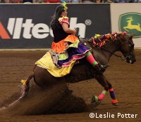 Freestyle Reining at the 2010 Alltech FEI World Equestrian Games