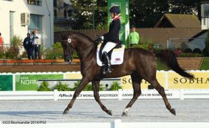 First medals awarded in para-dressage at the 2014 Alltech FEI World Equestrian Games