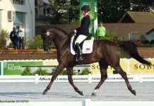 2018 FEI World Equestrian Games tickets available today weg s wells
