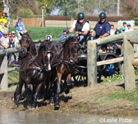 four horse driving team
