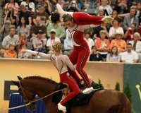 weg usa vaulting