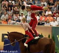 weg usa vaulting