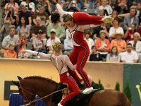 weg usa vaulting