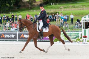 William Fox-Pitt is in the lead after day one of World Equestrian Games eventing