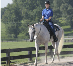 western horse riding