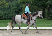 western dressage