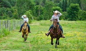 Rider Insider: Side Effects of Horses