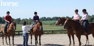 5 Tips for Returning to Riding as an Adult western group lesson