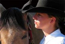 Reining Gets New Division western horse