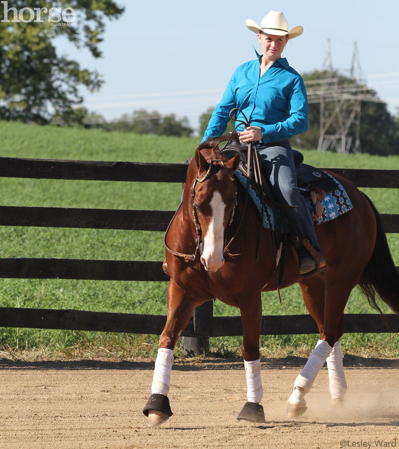 Western horse jogging