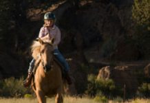 western palomino kid