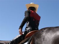 Have You Lost Your Favorite Showgrounds? western pleasure