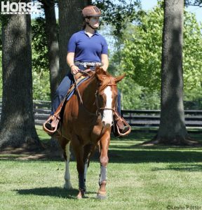 Saddle up for the Trail