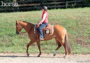 Horsemanship How-to: Sit the Jog Better