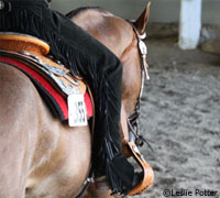 western riding leg