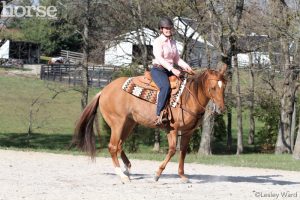 Teach Your Horse to Pivot Under Saddle