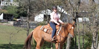 western riding pivot