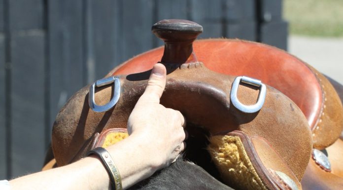 western saddle fit