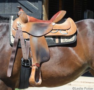 7 Warning Signs of Poor Saddle Fit