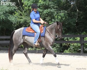 Cross-Train in the Saddle