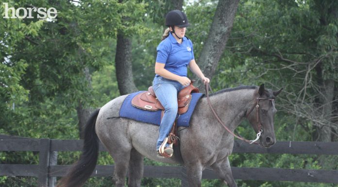 western schooling lope