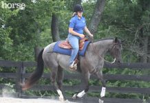 Video: How to Ride on a Loose Rein Roan western horse loping