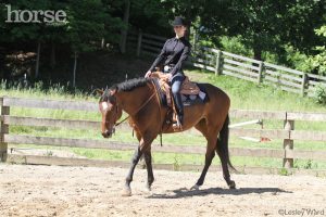 Stop See-Sawing on the Bit