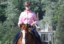 western schooling vertical