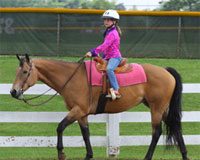 Add Years to Your Senior’s Life western show kid