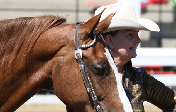 Western Horse and Handler