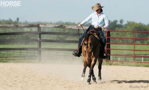 Ask the Expert: Teach the Sidestep