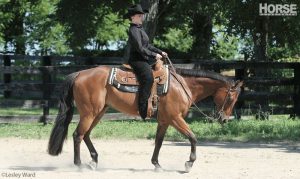 Video: Riding Squares for Better Circles