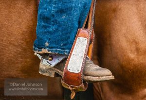 The Cowboy in Us All